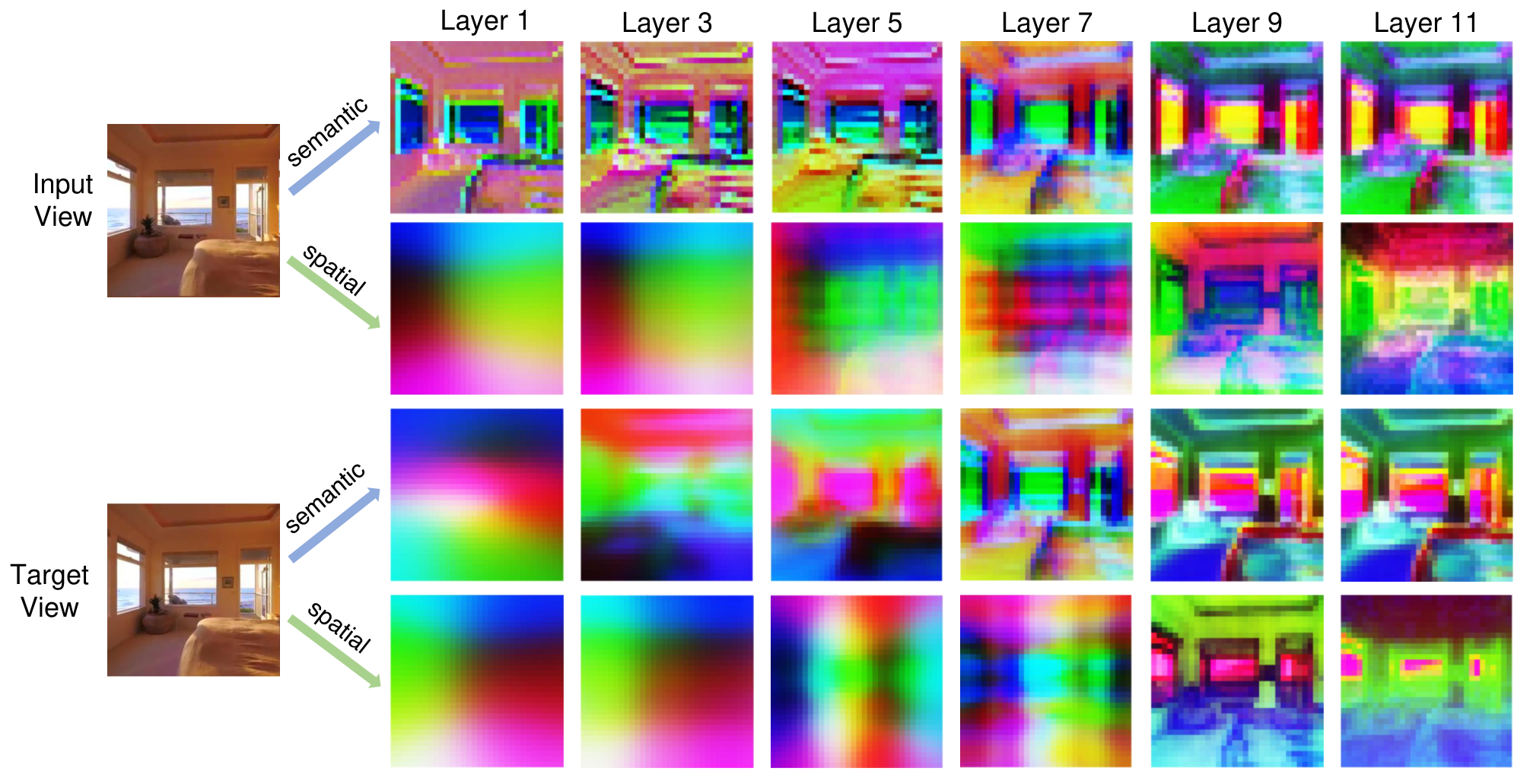 Layer-wise semantic and spatial feature visualization
